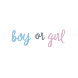 Banner Boy or Girl